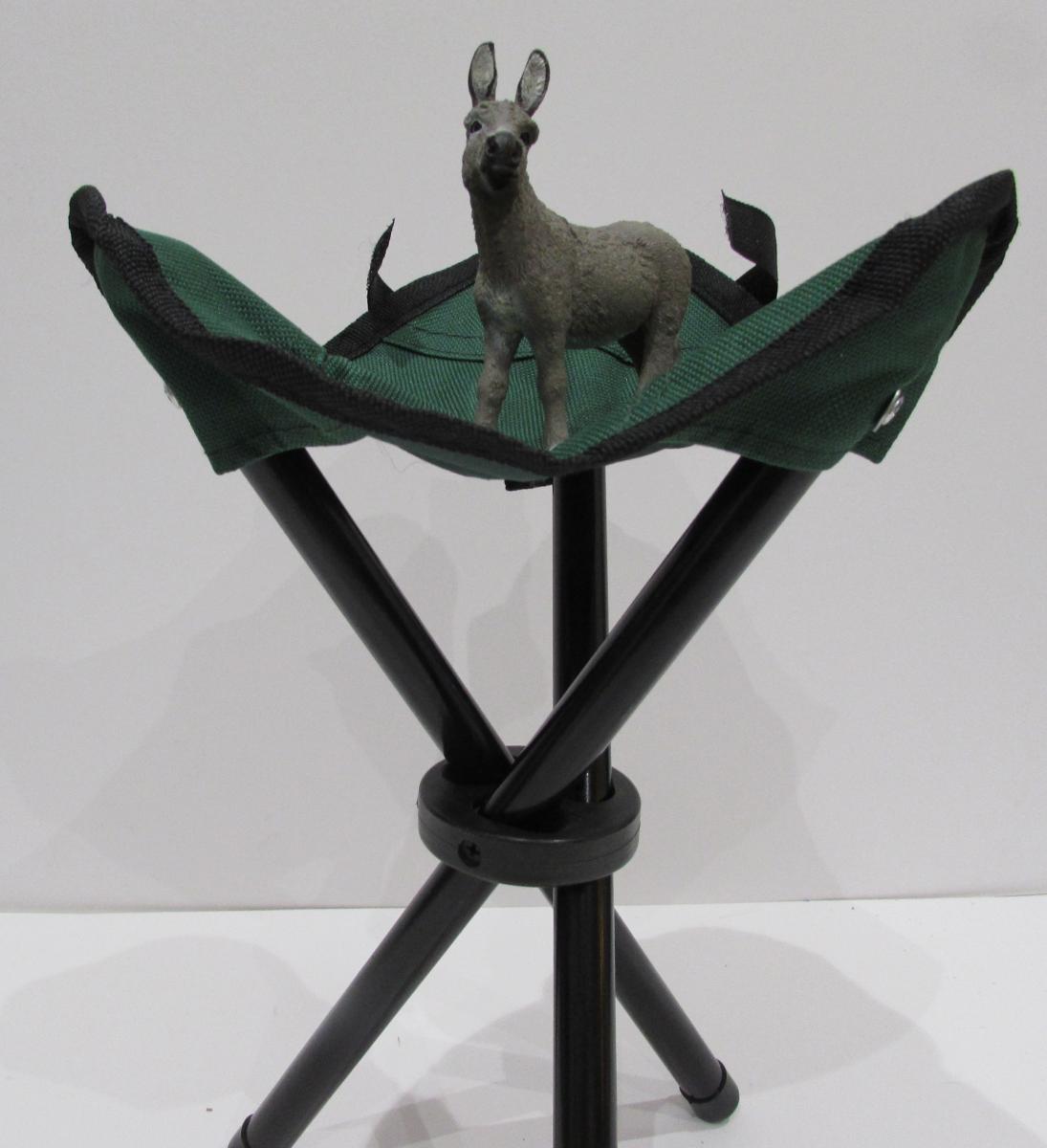 Mule on stool