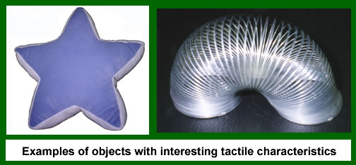 Examples of objects with interesting tactile characteristics (star pillow and Slinky)