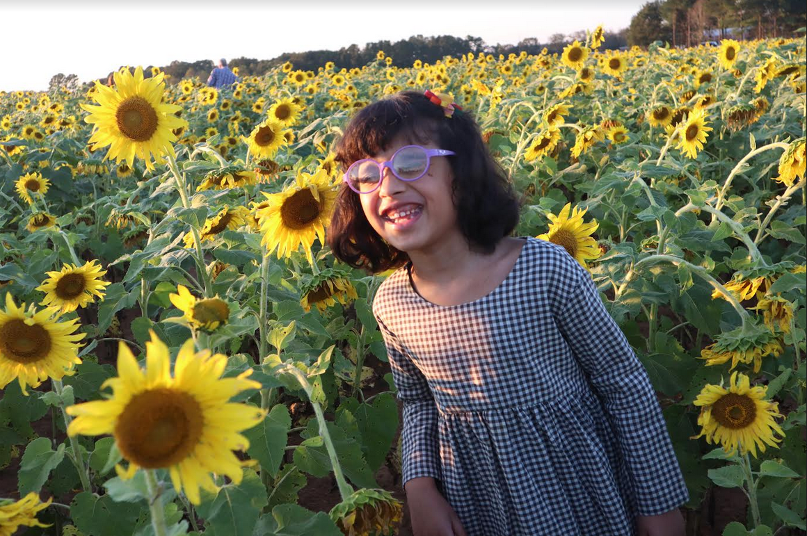 Ankitha in a field of sunflowers 