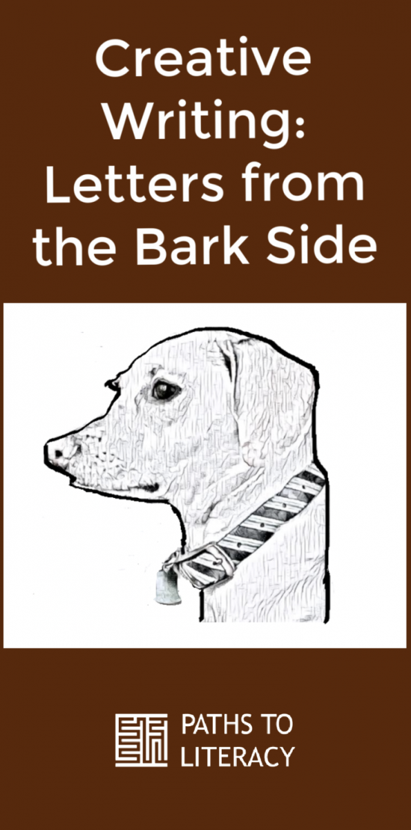 Collage of Bark Skide