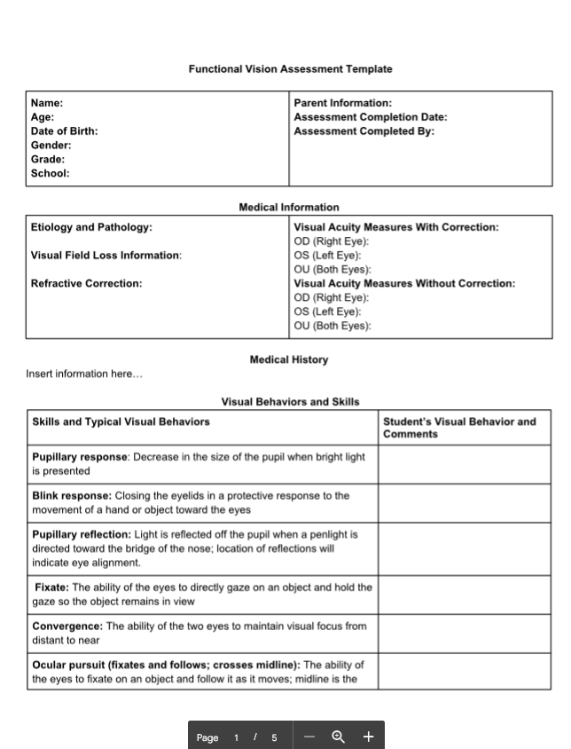Functional Vision Assessment Template screenshot page one 