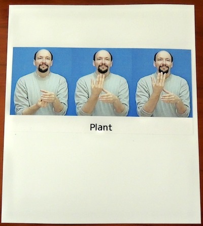 Index card with image of a man signing "plant"