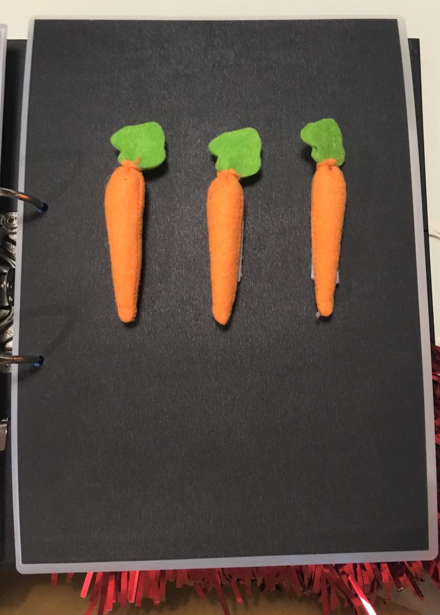 Three carrots attached to a page