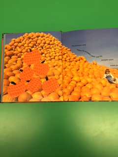 girl sitting on a pile of pumpkins with tactile illustration