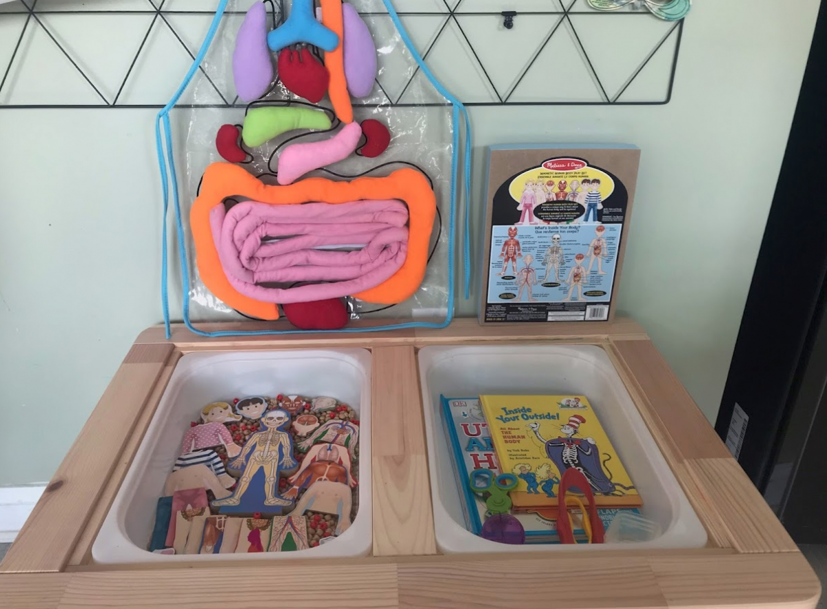 Sensory bin with beads and pieces of anatomy from a wooden puzzle and a kids' books in the other bin about the human body