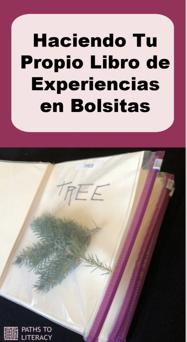 Collage of Spanish baggie books
