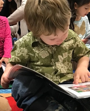 Preschool child independently looking at a page in a storybook on the floor in a group setting 