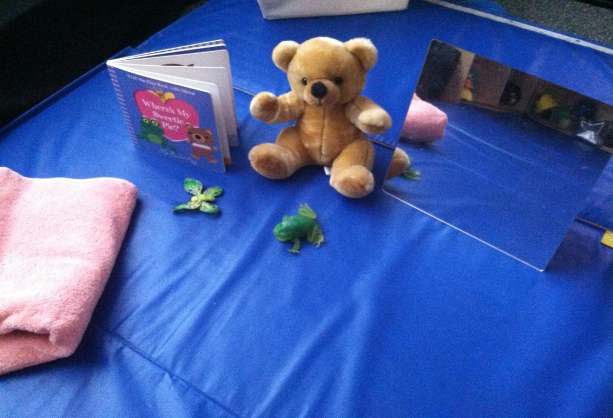 Teddy Bear and book