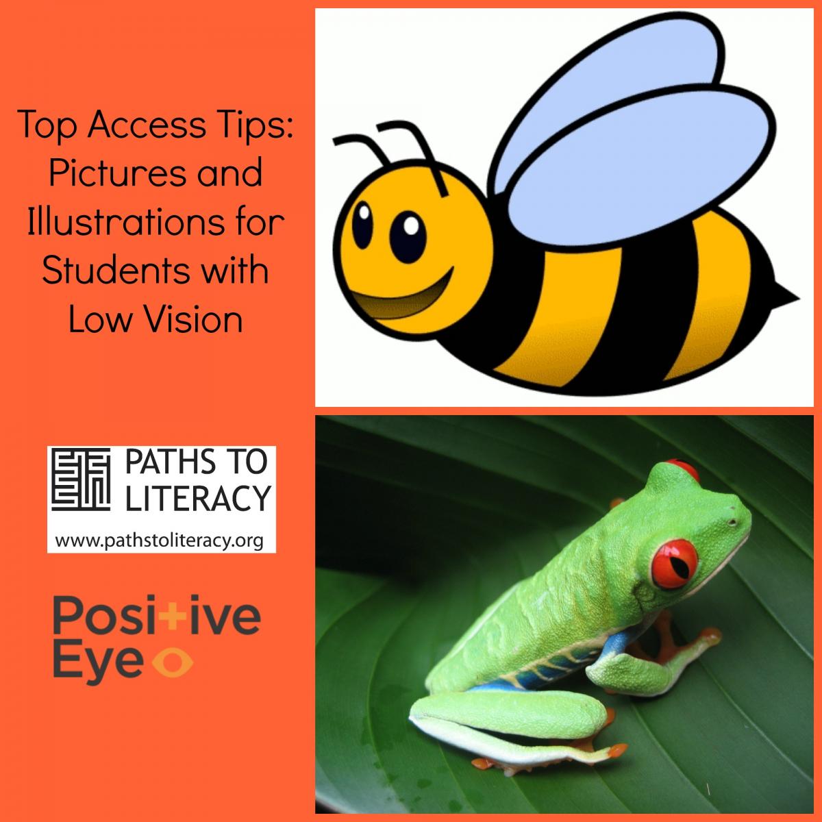 Top access tips -- pictures and illustrations for students with low vision