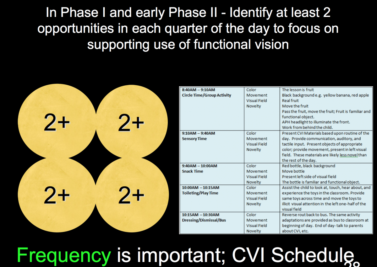 Powerpoint slide of sample schedule for students with CVI