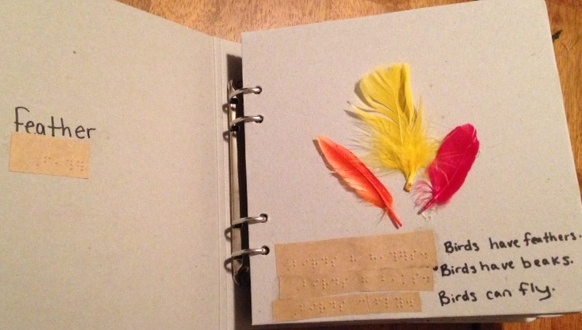 bird book "feather"