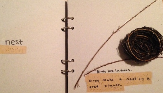 bird book "nest"