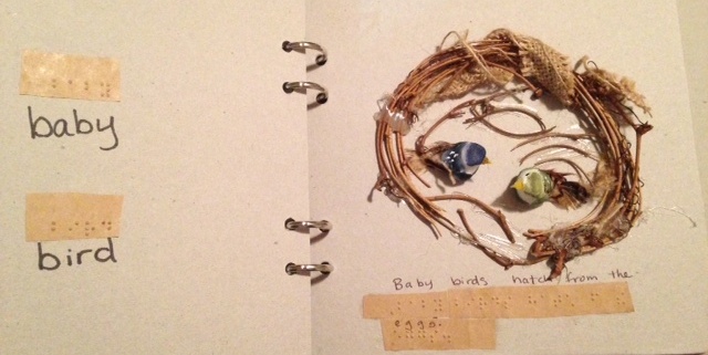 bird book "baby"