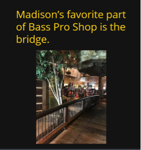 Page of Book Creator book: "Madison's favorite part of Bass Pro Shop is the bridge."