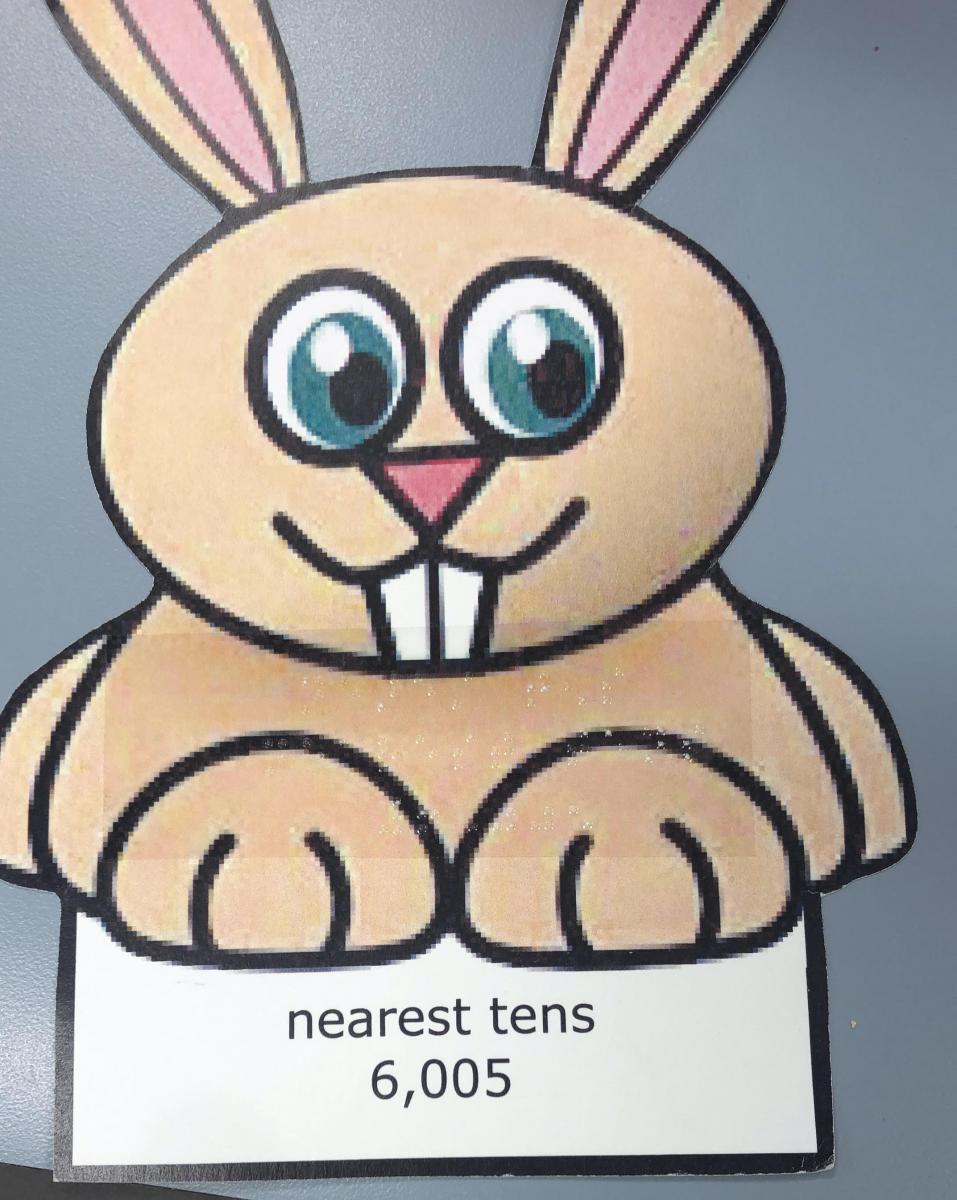 Sample Bunny card with "nearest tens 6,005" in print and braille