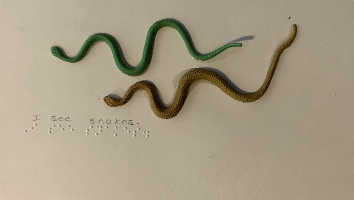 2 rubber snakes with braille text "I see snakes."