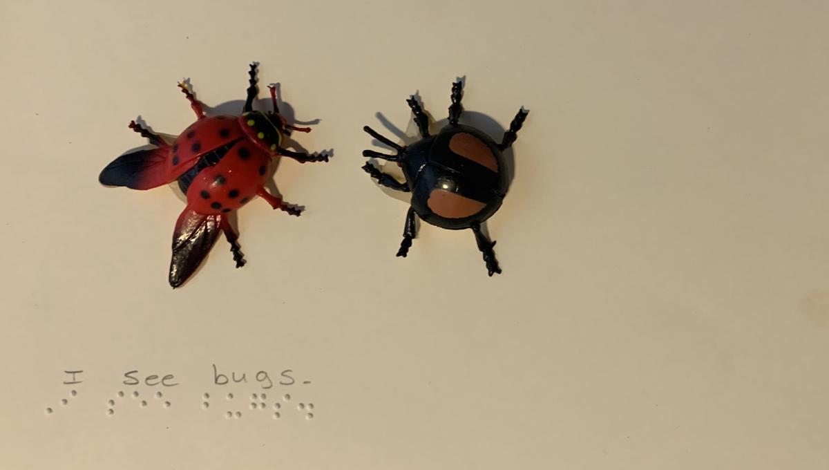 2 plastic bugs with braille text "I see bugs."