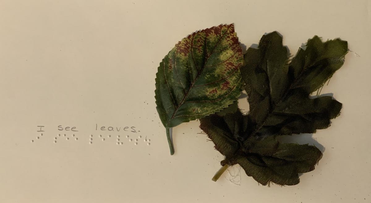 2 leaves with braille text "I see leaves."