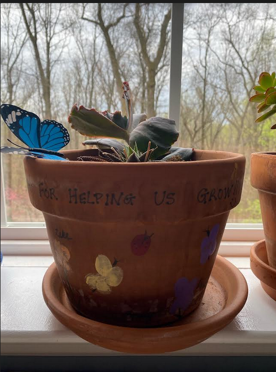 plant on window that has a container docorated by children with finger prints as bugs and butterflies