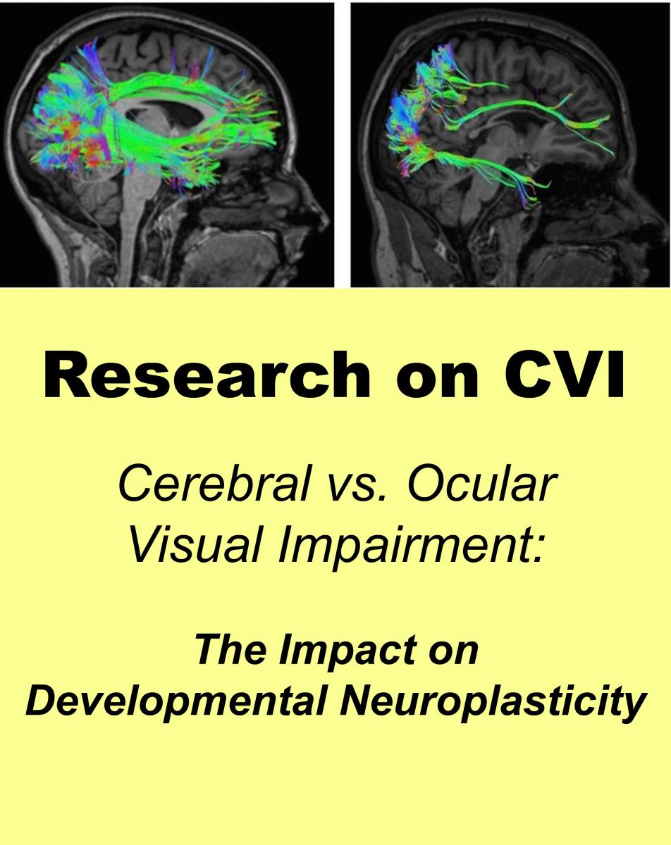 Collage of CVI research