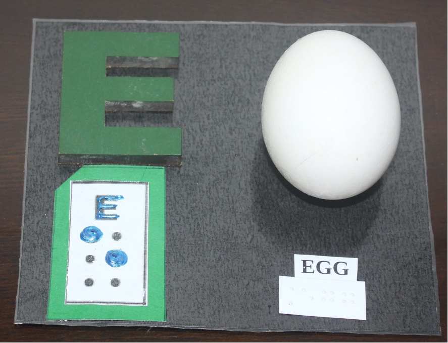 Letter "E" written in print with corresponding braille card and an egg