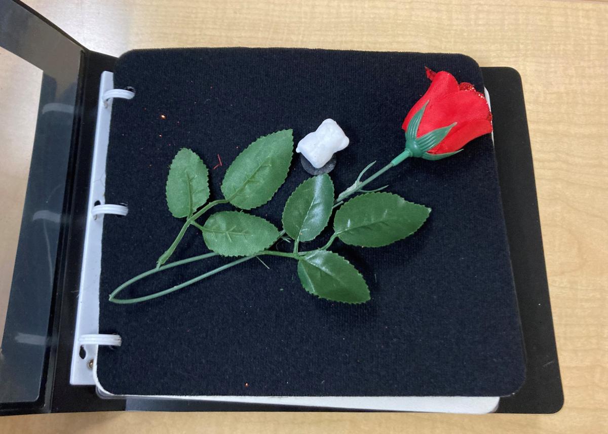 APH Book Builder page with a black felt background and a plastic rose 