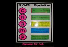 CHAMPS chart