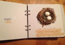 bird nest page with braille