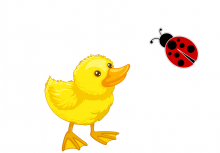 Yellow duck and red ladybug