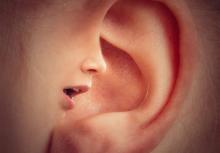 ear with superimposed face talking