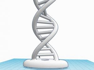 DNA Double Helix 3D model