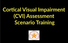 CVI Assessment Scenario Training banner