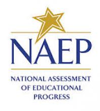 NAEP logo