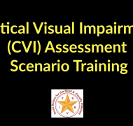 CVI Assessment Scenario Training banner