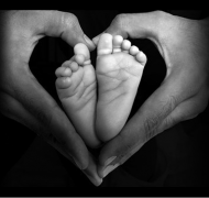 Baby feet with adult hands forming heart shape around them