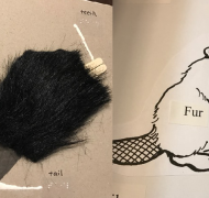 pages of a book labeling the parts of a beaver, one is in braille and has tactile objects and the other is large print and has a black and white picture