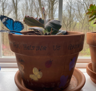 plant on window in a container decorated by students with finger prints as bugs and butterflies