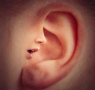 ear with superimposed face talking