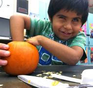A child scoops the seeds out of a pumpkin