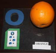 Orange with print and braille labels