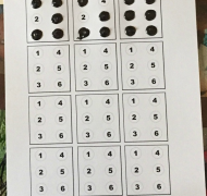 braille alphabet cards activity