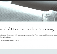 Screenshot of ECC Screening Tool