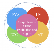FVA LMA AT ECC Comprehensive Evaluation and Reports diagram
