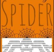 spider braille design collage