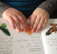 Animal book review