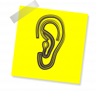 drawing of ear