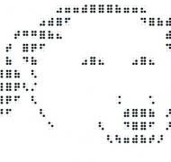 Braille design of a polar bear's head