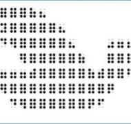 Braille design of flying bird
