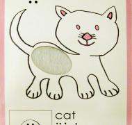 Alphabet card with print, braille, sign and textures -- Letter C for Cat