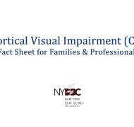 CVI Fact Sheet white banner with NYDBC logo